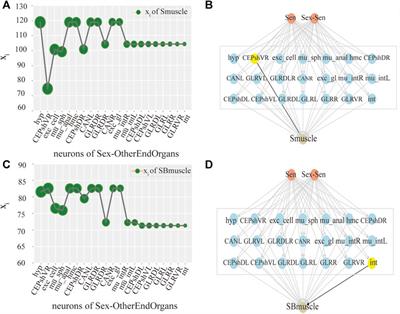 Resilience of Nematode Connectomes Based on Network Dimension-reduced Method